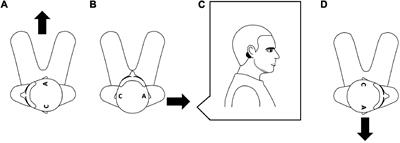 Motor Responses of Lumbar Erector Spinae Induced by Electrical Vestibular Stimulation in Seated Participants